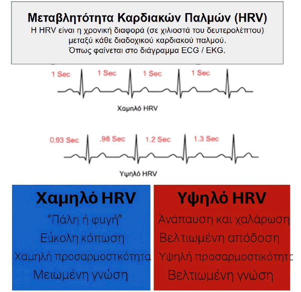 Αυτόνομο Νευρικό Σύστημα