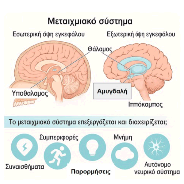 Μεταιχμιακό Σύστημα